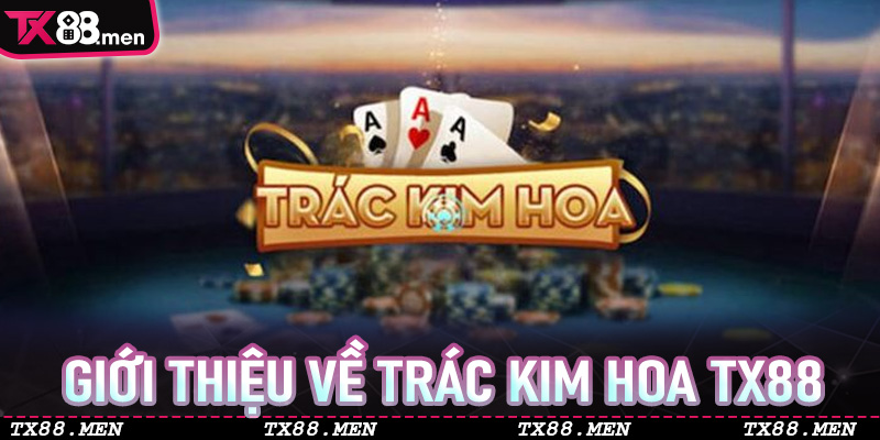 Giới thiệu về Trác Kim Hoa TX88