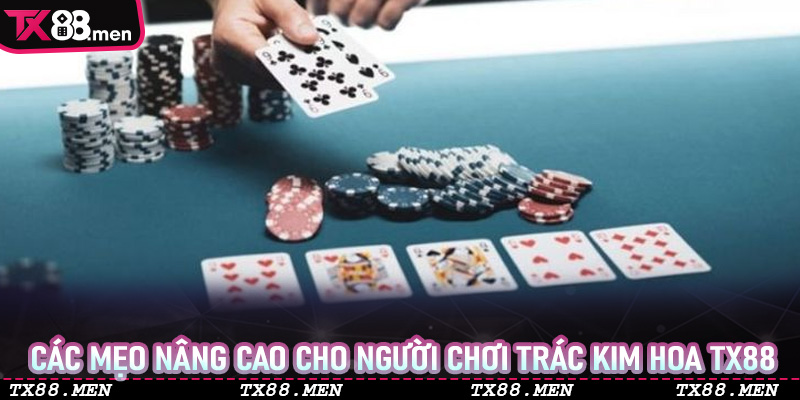 Các mẹo nâng cao cho người chơi Trác Kim Hoa TX88