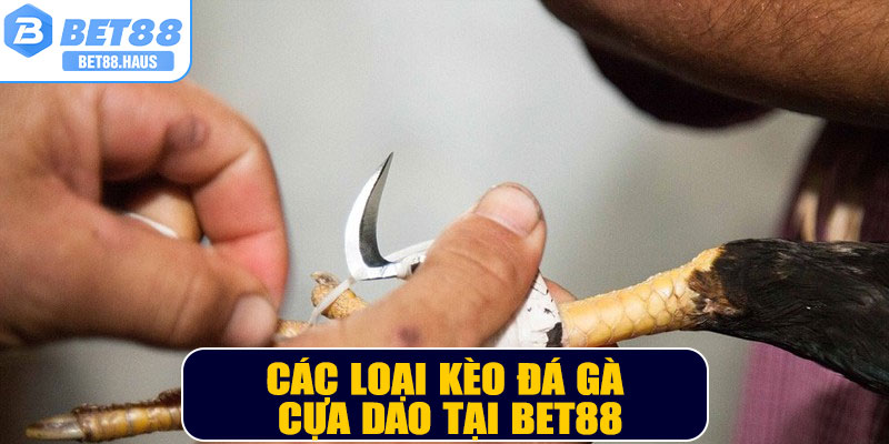 Các loại kèo đá gà cựa dao tại BET88