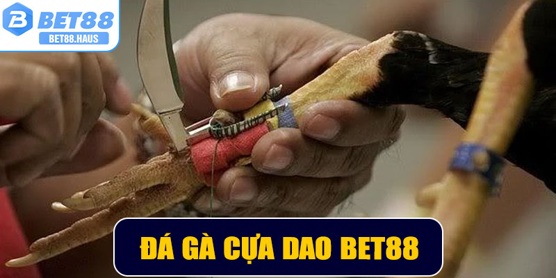 Đá gà cựa dao BET88 – Sân chơi đẳng cấp cho người yêu bộ môn đá gà