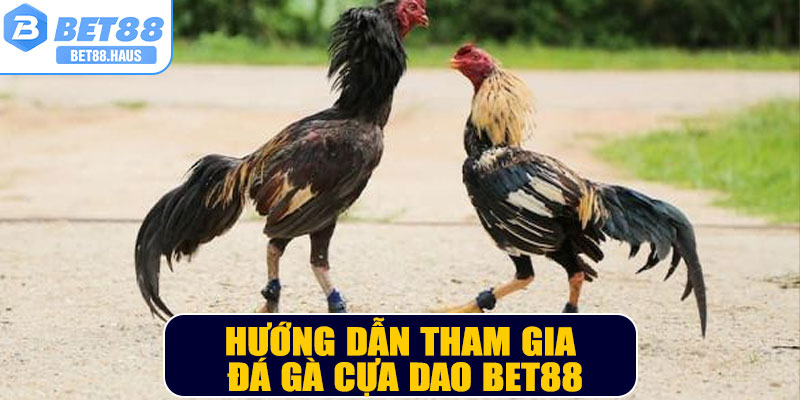Hướng dẫn tham gia đá gà cựa dao BET88