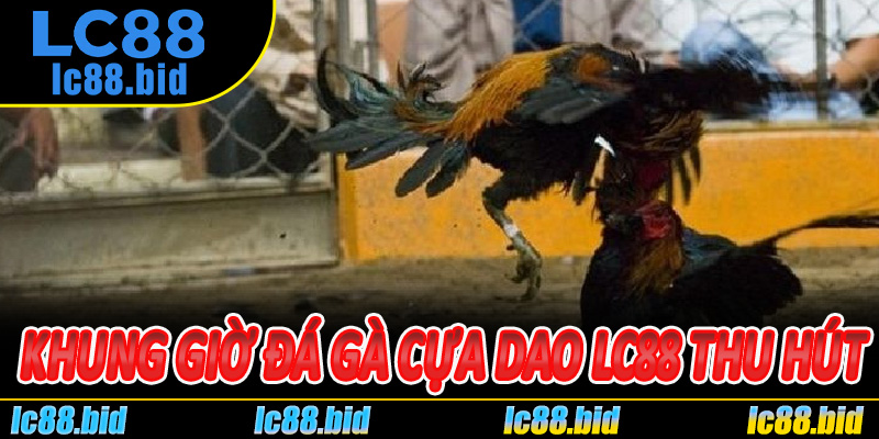 Khung Giờ Đá Gà Cựa Dao Lc88 Thu Hút Cao Điểm Trong Ngày