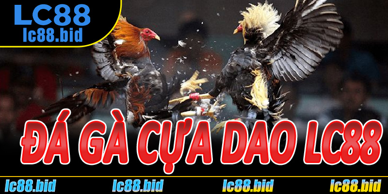 Đá Gà Cựa Dao Lc88