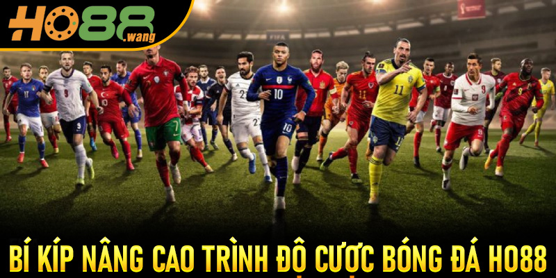 Bí Kíp Nâng Cao Trình Độ Cược Bóng Đá Ho88