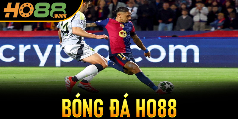 Bóng Đá Ho88