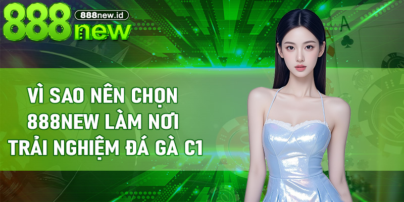 Vì sao nên chọn 888new làm nơi trải nghiệm Đá Gà C1