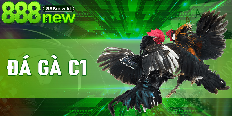 Đá Gà C1 – Trải Nghiệm Đá Gà Đỉnh Nóc Kịch Trần Tại 888new